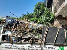 Best Hoarding Cleanup  in Walden, TN