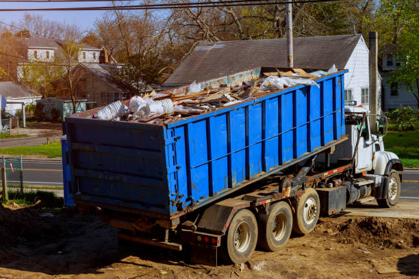 Best Shed Removal  in Walden, TN