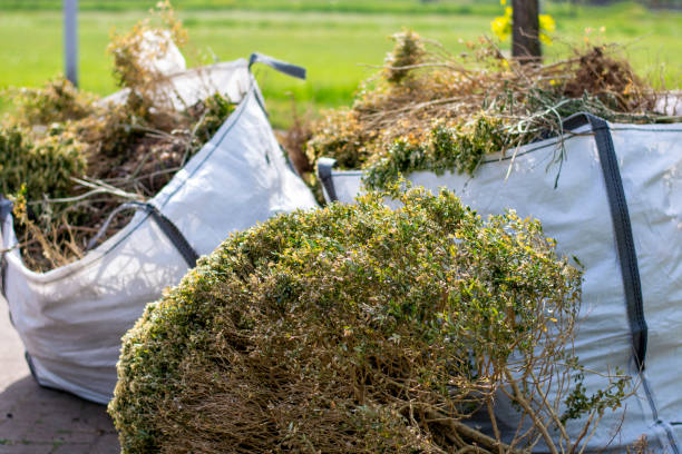 Best Shed Removal  in Walden, TN