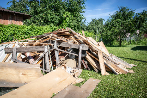 Best Shed Removal  in Walden, TN