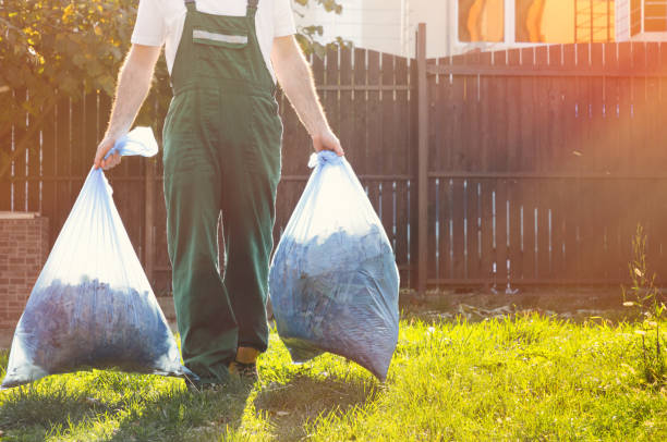 Best Hoarding Cleanup  in Walden, TN