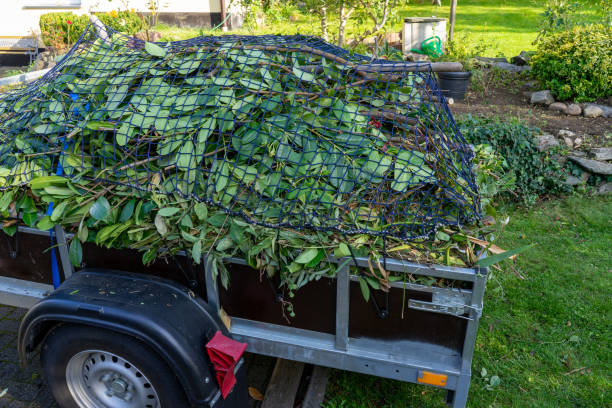 Best Yard Waste Removal  in Walden, TN